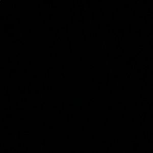 Meet your Posher, Daniela